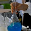 P12_2024_0130_experiment_02_original_EK
